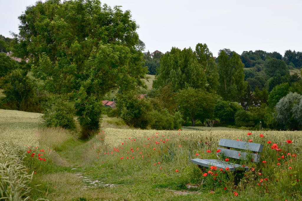Chambres D'Hotes, Gites La Petite Madeleine La Madelaine-sous-Montreuil Bagian luar foto